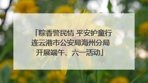 粽香警民情 平安护童行 连云港市公安局海州分局开展端午、六一活动