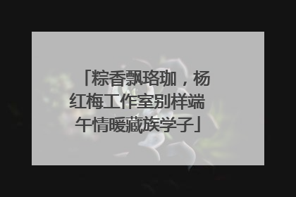 粽香飘珞珈，杨红梅工作室别样端午情暖藏族学子
