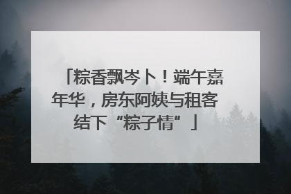 粽香飘岑卜！端午嘉年华，房东阿姨与租客结下“粽子情”