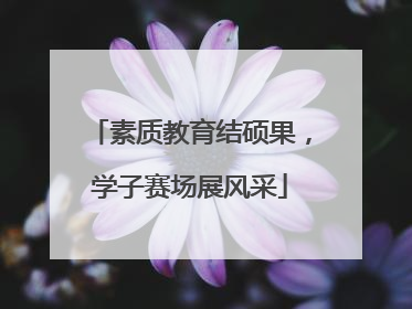 素质教育结硕果，学子赛场展风采