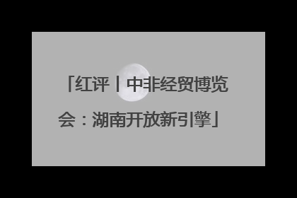 红评丨中非经贸博览会：湖南开放新引擎