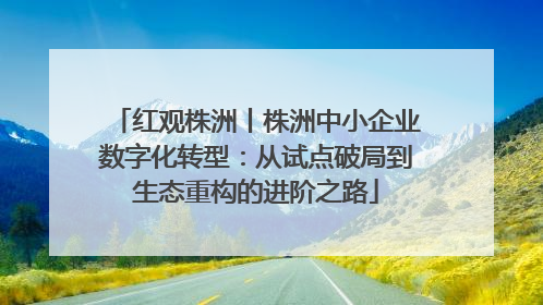 红观株洲丨株洲中小企业数字化转型：从试点破局到生态重构的进阶之路