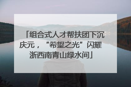 组合式人才帮扶团下沉庆元，“希望之光”闪耀浙西南青山绿水间