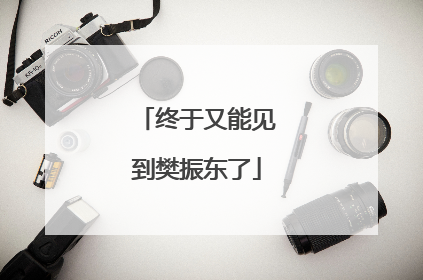 终于又能见到樊振东了