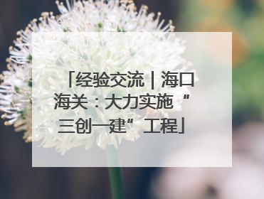 经验交流｜海口海关：大力实施“三创一建”工程
