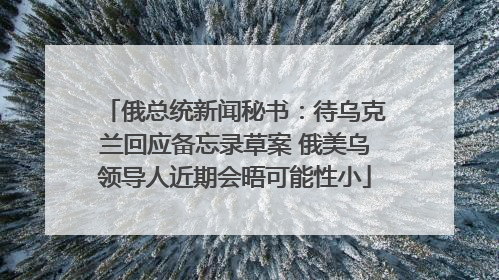 俄总统新闻秘书：待乌克兰回应备忘录草案 俄美乌领导人近期会晤可能性小