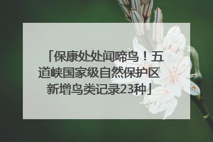 保康处处闻啼鸟！五道峡国家级自然保护区新增鸟类记录23种