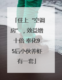 住上“空调房”，效益增十倍 奉化95后小伙养虾有一套