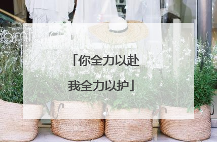 你全力以赴 我全力以护