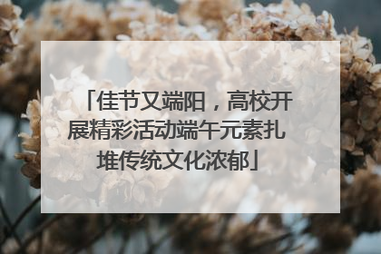 佳节又端阳，高校开展精彩活动端午元素扎堆传统文化浓郁