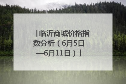 临沂商城价格指数分析（6月5日—6月11日）