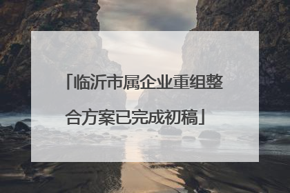 临沂市属企业重组整合方案已完成初稿