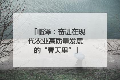 临泽：奋进在现代农业高质量发展的“春天里”