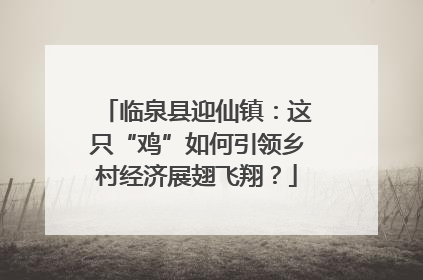 临泉县迎仙镇：这只“鸡”如何引领乡村经济展翅飞翔？