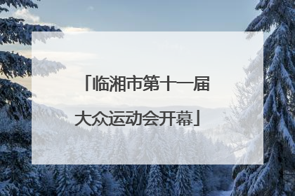 临湘市第十一届大众运动会开幕
