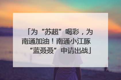 为“苏超”喝彩，为南通加油！南通小江豚“蓝叒叒”申请出战