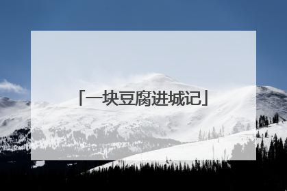 一块豆腐进城记
