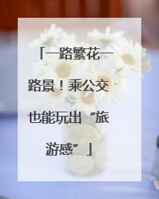 一路繁花一路景！乘公交也能玩出“旅游感”