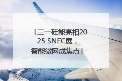 三一硅能亮相2025 SNEC展，智能微网成焦点