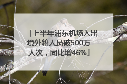 上半年浦东机场入出境外籍人员破500万人次，同比增46%