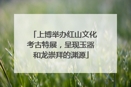 上博举办红山文化考古特展，呈现玉器和龙崇拜的渊源