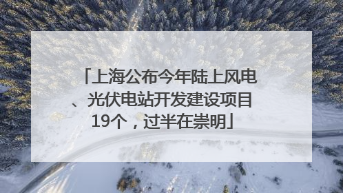 上海公布今年陆上风电、光伏电站开发建设项目19个，过半在崇明