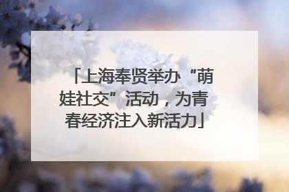 上海奉贤举办“萌娃社交”活动，为青春经济注入新活力
