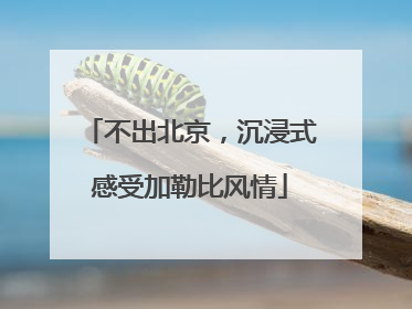 不出北京，沉浸式感受加勒比风情