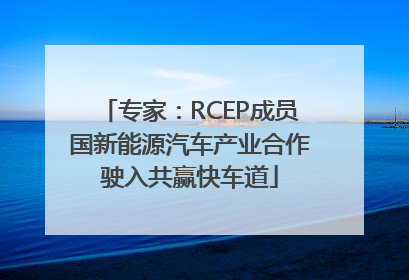 专家：RCEP成员国新能源汽车产业合作驶入共赢快车道