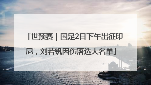 世预赛｜国足2日下午出征印尼，刘若钒因伤落选大名单