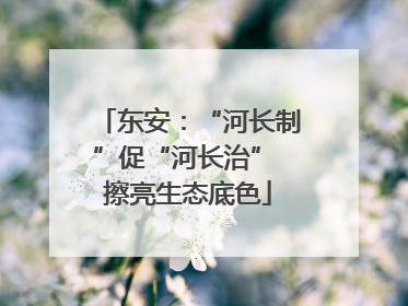 东安：“河长制”促“河长治” 擦亮生态底色