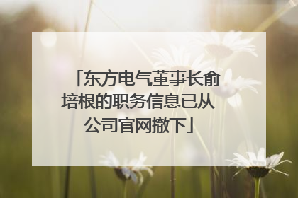 东方电气董事长俞培根的职务信息已从公司官网撤下
