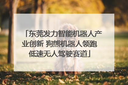 东莞发力智能机器人产业创新 狗熊机器人领跑低速无人驾驶赛道
