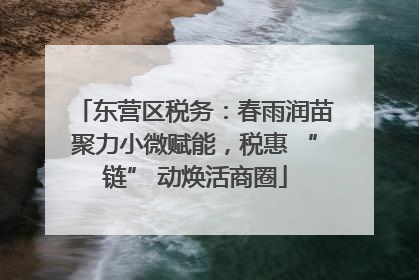 东营区税务：春雨润苗聚力小微赋能，税惠 “链” 动焕活商圈