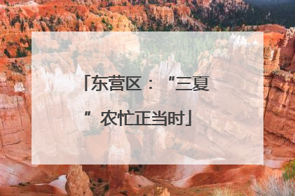 东营区：“三夏”农忙正当时
