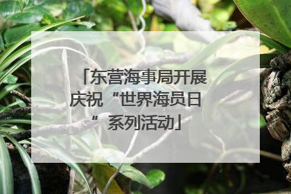 东营海事局开展庆祝“世界海员日”系列活动