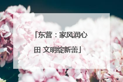 东营：家风润心田 文明绽新蕾