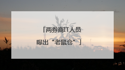 两券商IT人员曝出“老鼠仓”