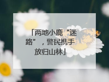 两地小鹿“迷路”，警民携手放归山林