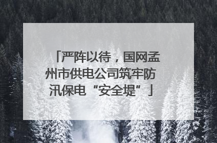 严阵以待，国网孟州市供电公司筑牢防汛保电“安全堤”