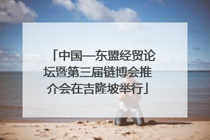中国—东盟经贸论坛暨第三届链博会推介会在吉隆坡举行