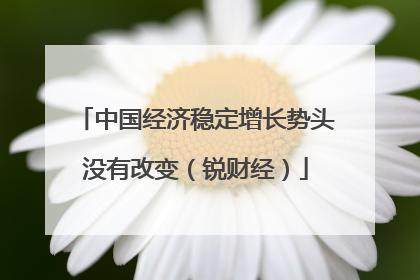 中国经济稳定增长势头没有改变（锐财经）