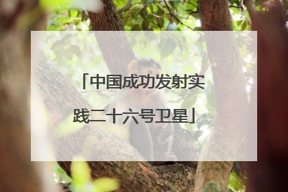 中国成功发射实践二十六号卫星
