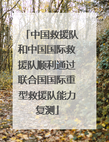 中国救援队和中国国际救援队顺利通过联合国国际重型救援队能力复测