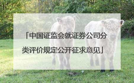 中国证监会就证券公司分类评价规定公开征求意见