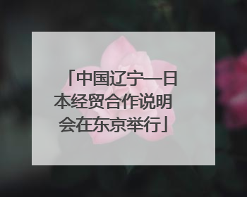 中国辽宁—日本经贸合作说明会在东京举行