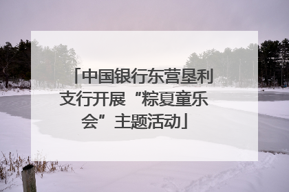 中国银行东营垦利支行开展“粽夏童乐会”主题活动