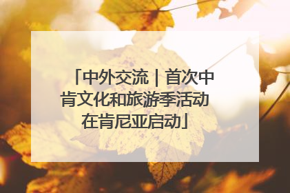 中外交流｜首次中肯文化和旅游季活动在肯尼亚启动