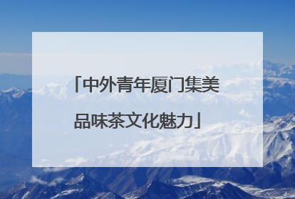 中外青年厦门集美品味茶文化魅力