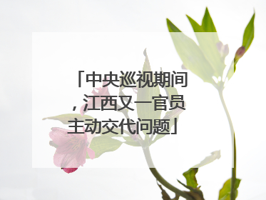 中央巡视期间，江西又一官员主动交代问题